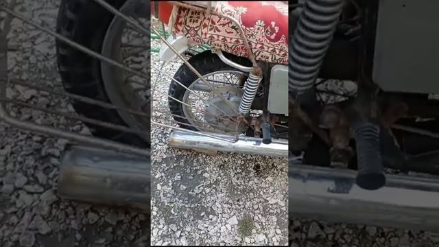 Юпитер 5 хорошем состоянии здоровая 😉😉😉😌