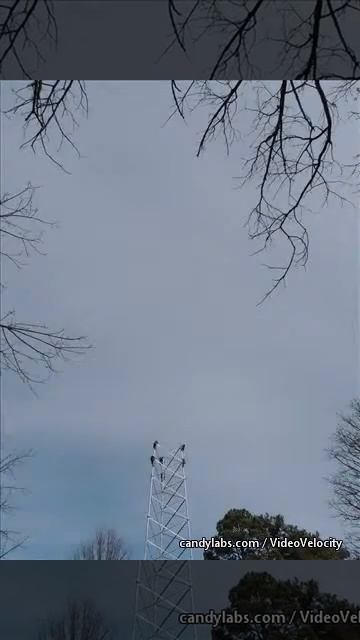Mercury Communications-Alternative Cellphone Tower Stack Time-Lapse