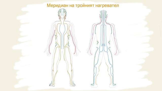 33519b57e49121f40a621dea2e4743aa