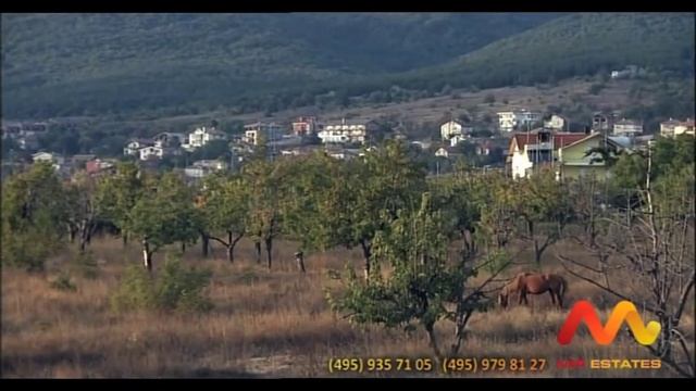 83427a8ff306892b09ea503994d46226