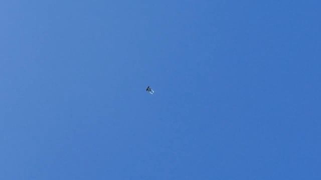 6c308dcbb0257bc8483692fb634028da