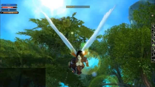 Первый Полёт в  игре Пёрфект Волд