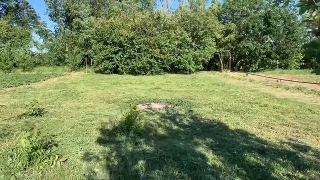 КУПИЛИ ХАТУ НА КУБАНИ🌳ГУСИ У БАБУСИ👍🌷