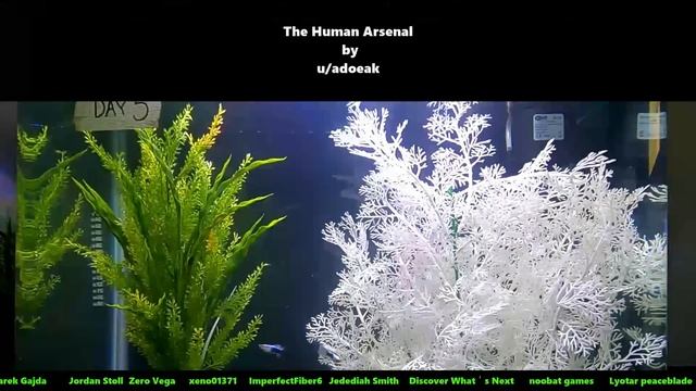 Best SciFi Storytime 1557 - Enrichment & The Human Arsenal | HFY | Humans Are Space Orcs