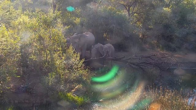 The Upgraded Solar SUn New Light Frequencies: 43.96Hz, 54.95Hz, 66.6Hz, 76.93Hz, 87.92Hz, 99.9Hz.