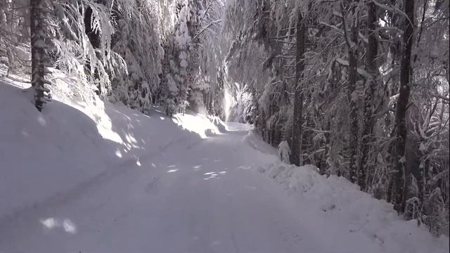 Сура Аль-Ихляс (Искренность) Именем Аллаха , милость Которого вечна и безгранична.(2020)