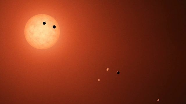 The Closest Star To The Solar System: Proxima Centauri With Parallax Nick