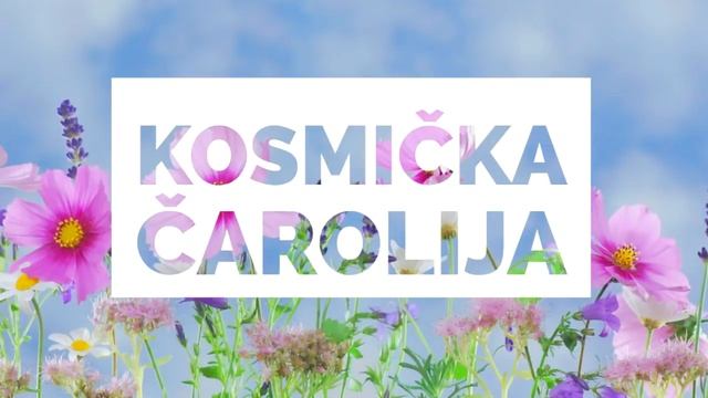 469c3cd40decd3c8992e0c3bdc4d97ac