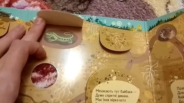 Хто сховався під землею - издательство Ранок