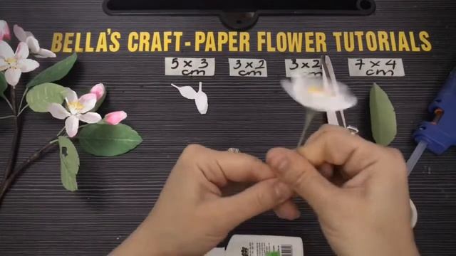 D5be85c1ad5a215bcc4e1ddcaee22d96