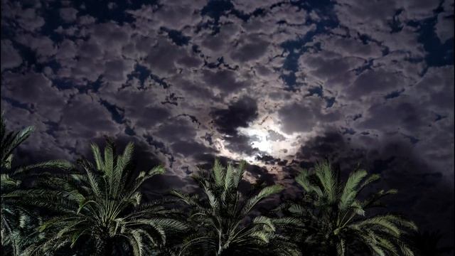 461f7fa149f68a19e64dc54aefde6551