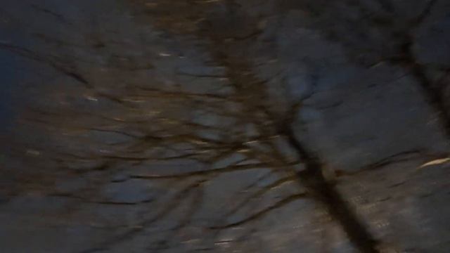 Полнолуние...вечер...весна