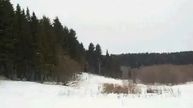 Снежный человек и НЛО 2005 (The Yeti And UFO)