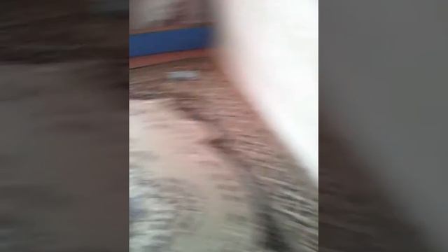 Возвращение