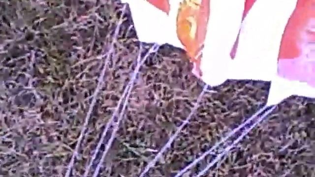 Saturn V Cardstock Test Launch