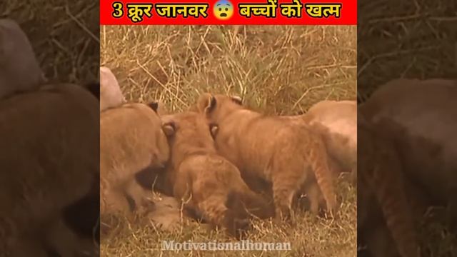 C7b1f914028fc1039f963b9b0a47b0d2