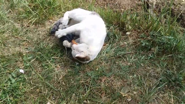 12 августа 2023 г.