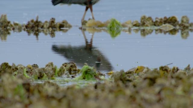 770be750b7f05ec282b80fa831ceffb9