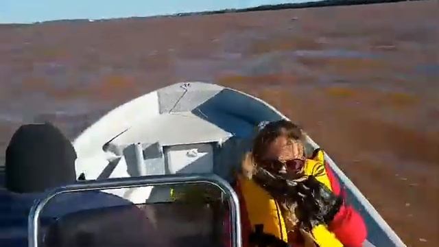 VIKINGO 600 CON MERCURY 50 HP VILLA ELISA ENTRE RIOS