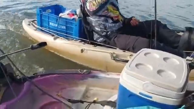 Motor Mercury 3.3 Arrastando Quatro Caiaques , Lagoa Feia.