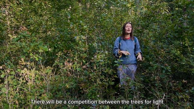 BEHIND THE TREE #1 What Is ANR?