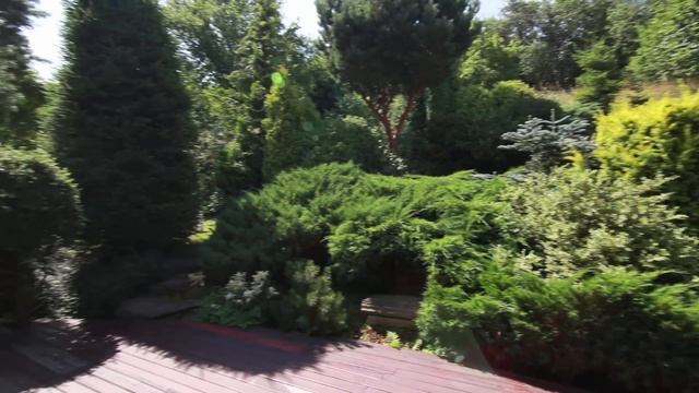 101c9b73a105034237a230bba1a863e4