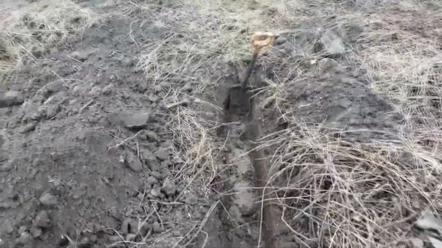 Экстремальный коп!