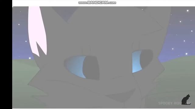 310692c3f720061fd00df1c79311fb5e