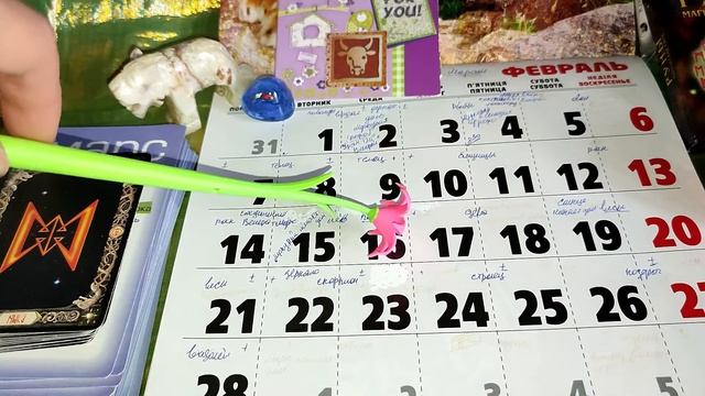 ТЕЛЕЦ В ФЕВРАЛЕ. Астро-рунический прогноз.