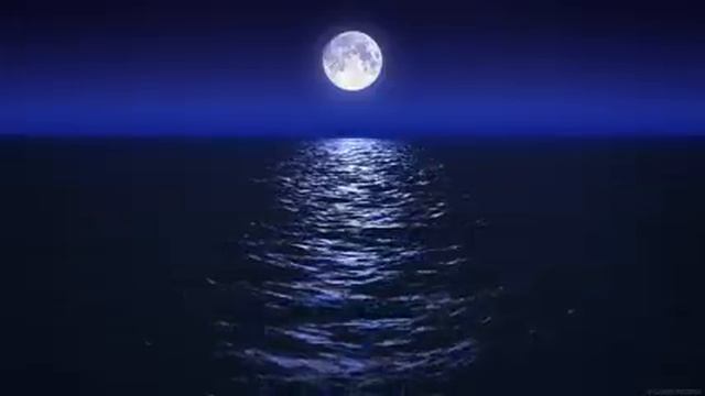 Sleep Music With Ocean And Jungle Sounds – Relaxing Blue Screen Scene – Ocean And Full Moon