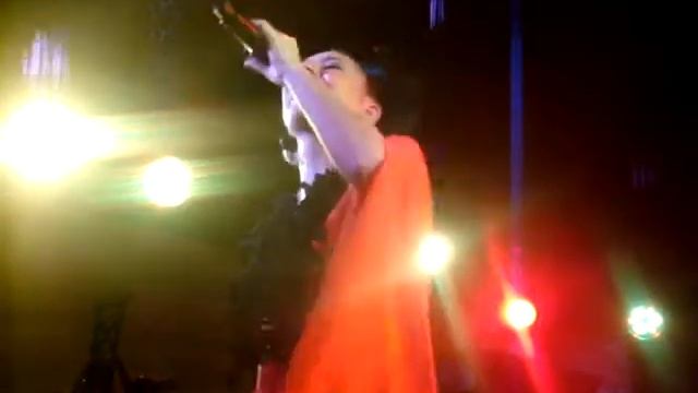 Ёлка - Прованс