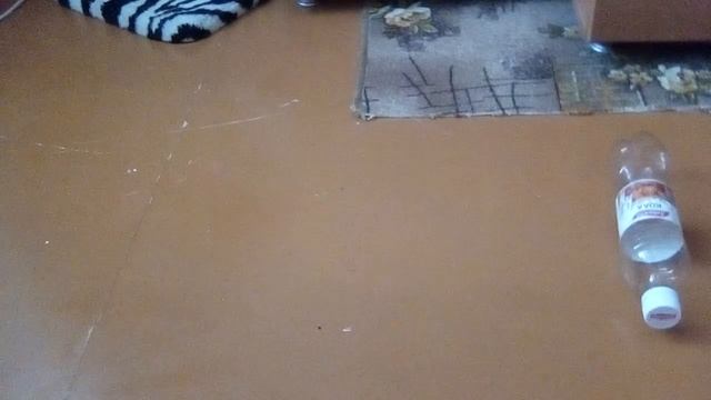 Fd719c506718176506d60726b3e4d89e