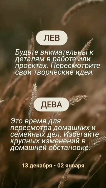 6377806e9a6cdc1ce5dbde6d33a47f0d