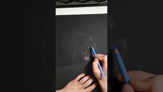 Ea0acd25034d9984fdc363ddabbe86bf