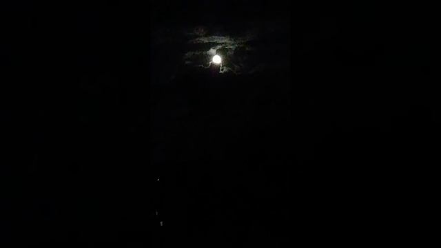 7578e2f67a9627280b6d3e6e8d8eb605