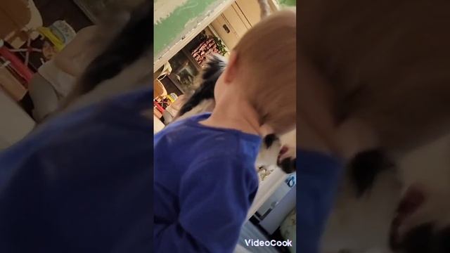 Ремонт. А дружба -дружбой 😍🥰