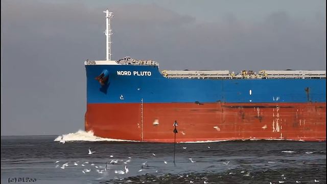 NORD PLUTO | Elbe Höhe Otterndorf
