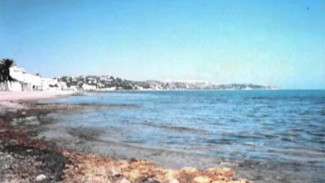 56da458f875d55f34a95555f2e2e8b52