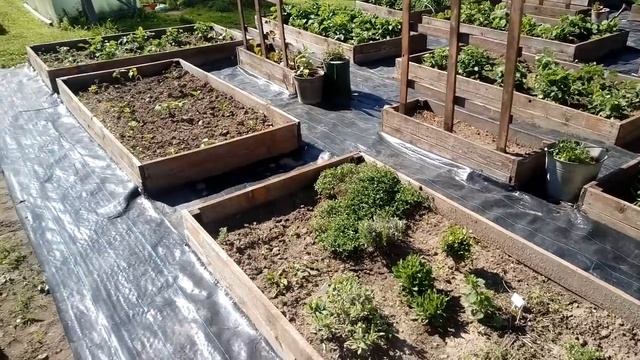 D6a1fa4f9bd43413a65675d011773459