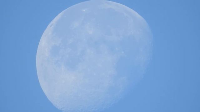 Morning Moon