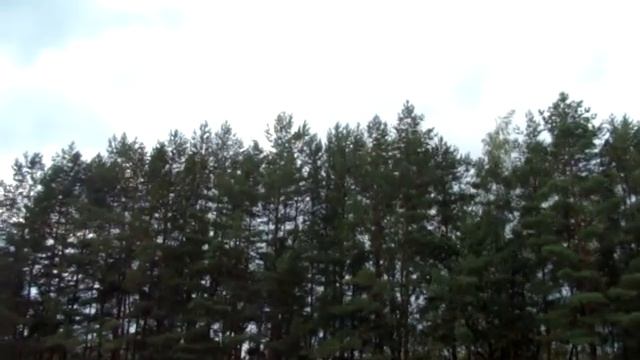 МиГ-31: заход на посадку