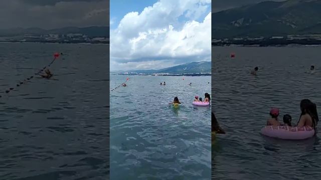 Геленджик, пляж 2к19. Встретили дельфинов.