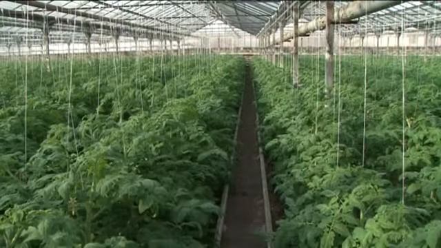 AGRO JAM հաղորդաշար, 2014թ Փետրվարի 16-ի թողարկում 2,05
