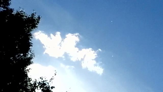 0e315a013dc54c61154ac83bb38bbb89