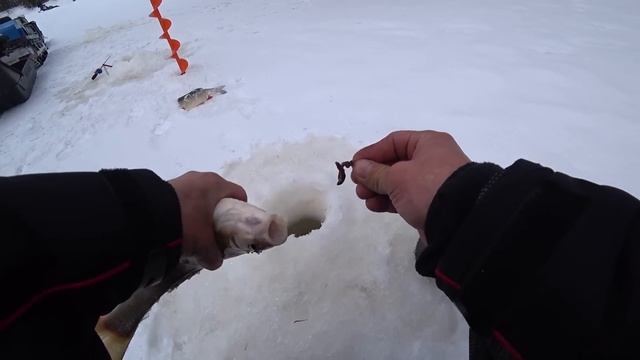 ДВА ДНЯ НА ТАЁЖНОЙ РЕКЕ.ШИКАРНОЕ ЗАКРЫТИЕ ЗИМНЕГО СЕЗОНА РЫБАЛКИ.ВЕСЕННИЙ ЯЗЬ.