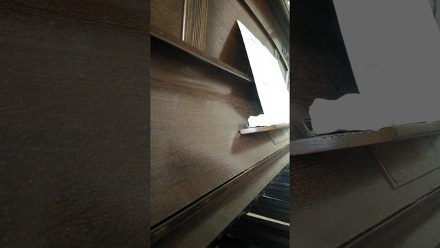 237471a4b5aff84fd139ec27578651cf