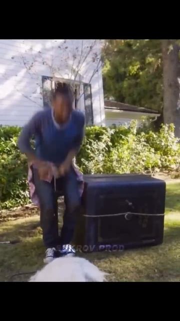 Бедная собака😂 #shorts #моменты #фильмы