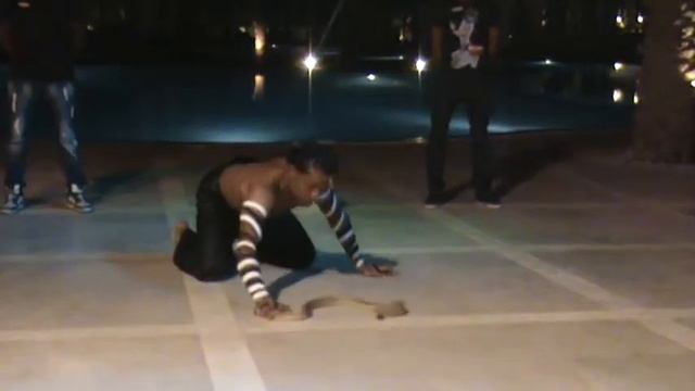 Cobra Show Koki Hilton Nubian Marsa Alam