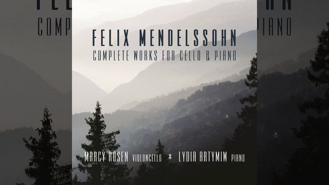 Variations Concertantes In D Major, Op. 17, MWV Q19