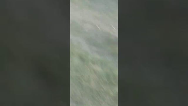 Марс любить гратися з м'ячем